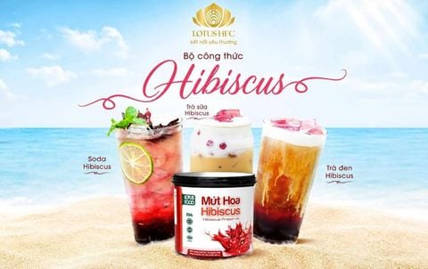CÔNG THỨC NƯỚC HIBISCUS THANH MÁT GIÚP ĐA DẠNG MENU QUÁN