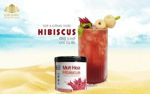 BÍ QUYẾT ĐỒ UỐNG LỢI NHUẬN CAO TỪ HIBISCUS