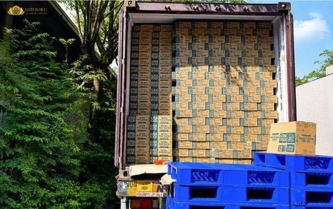 LOTUS HFC XUẤT CONTAINER ĐẦU NĂM, SẴN SÀNG NGUỒN CUNG NGUYÊN LIỆU PHA CHẾ MÙA CAO ĐIỂM
