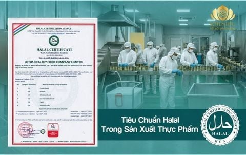 THỊ TRƯỜNG HALAL VÀ LỘ TRÌNH XUẤT KHẨU TRÁI CÂY ĐÓNG LON CHUYÊN NGHIỆP