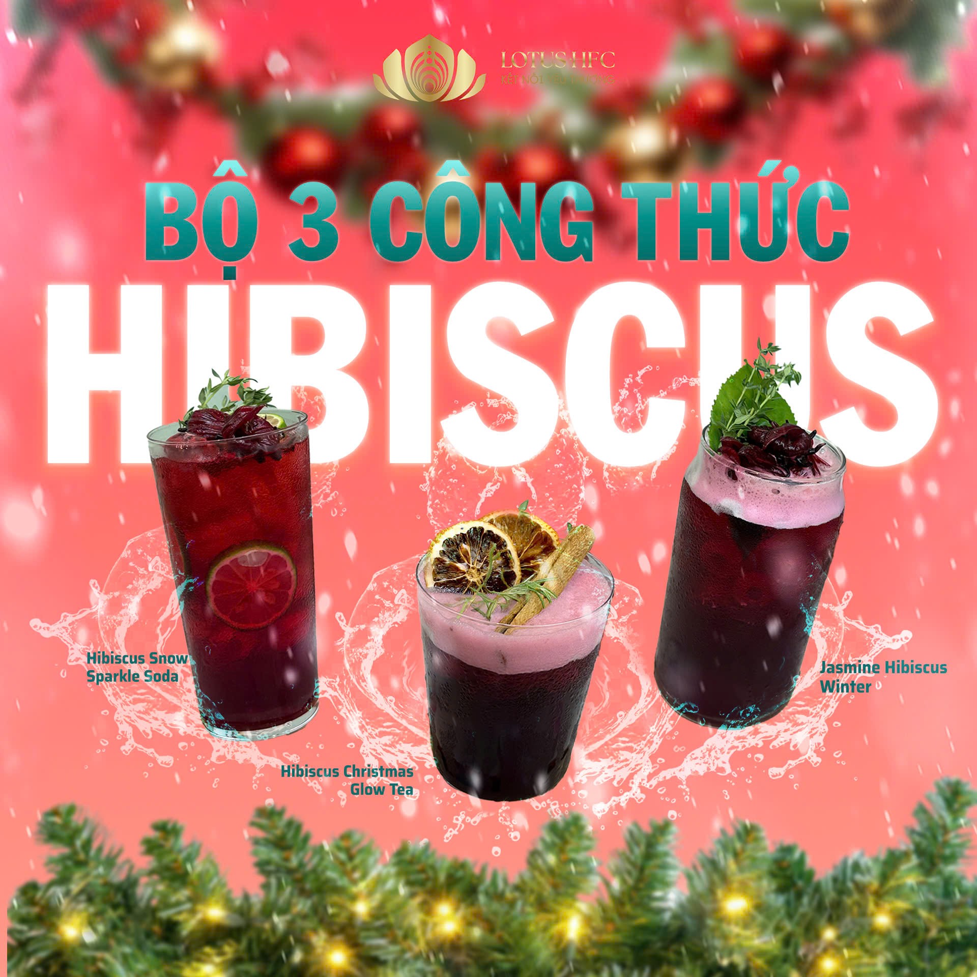 BỘ 3 CÔNG THỨC PHA CHẾ HIBISCUS MÙA NOEL –  ĐỎ RỰC, THƠM MÁT, CHUẨN VỊ GIÁNG SINH