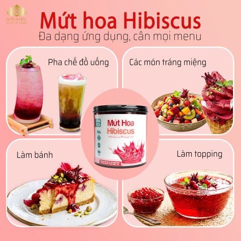 VÌ SAO NÊN DÙNG MỨT HIBISCUS NGÂM TRONG PHA CHẾ?