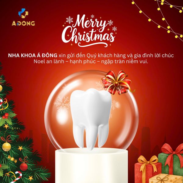 🎄✨ CHÚC MỪNG GIÁNG SINH – AN LÀNH & RẠNG RỠ NỤ CƯỜI ✨🎄