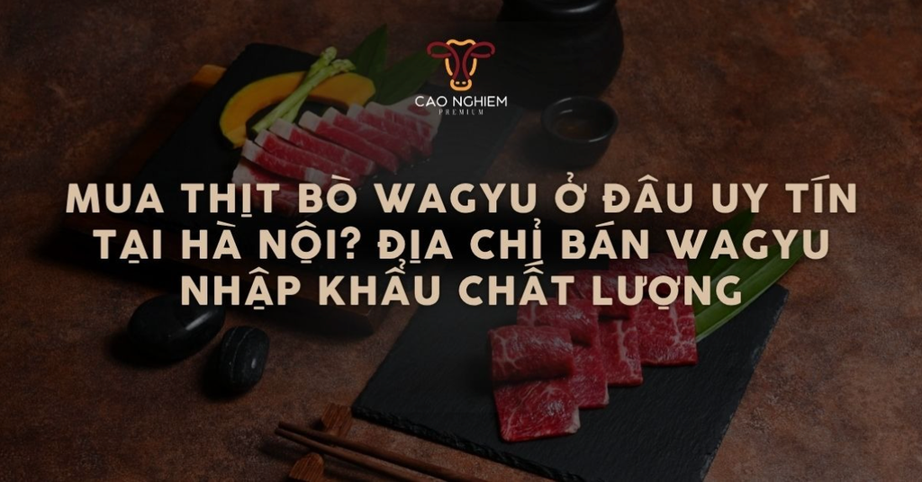 Mua thịt bò Wagyu ở đâu uy tín tại Hà Nội? Địa chỉ bán Wagyu nhập khẩu chất lượng