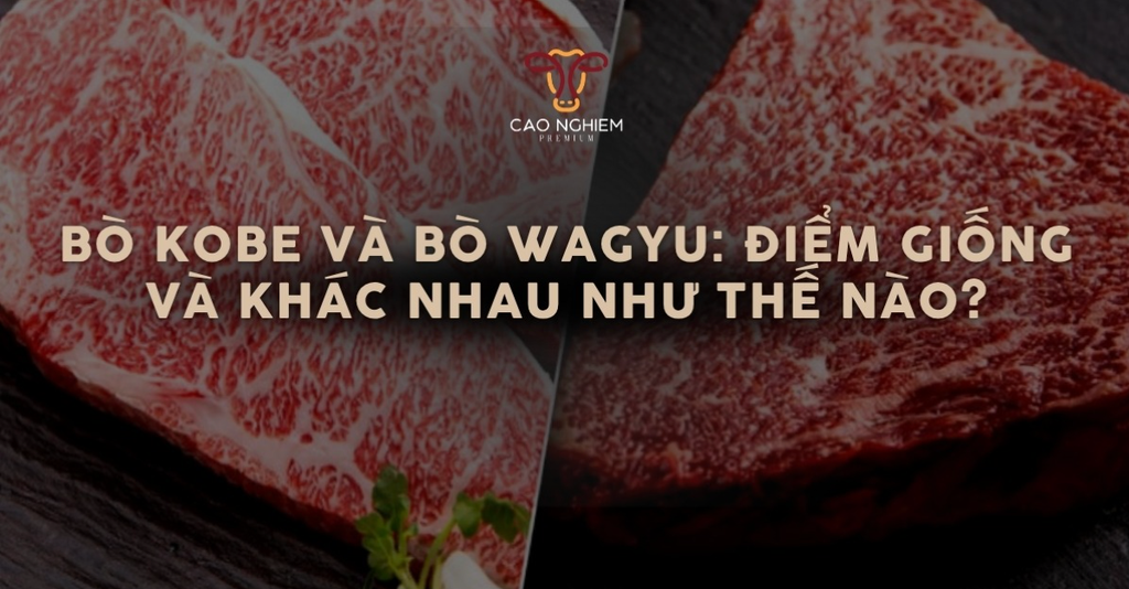 Bò Kobe và bò Wagyu: Điểm giống và khác nhau như thế nào?