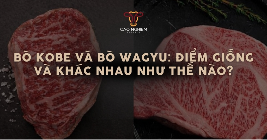 Bò wagyu của nước nào? Phân biệt thịt bò Wagyu Nhật và Wagyu Mỹ