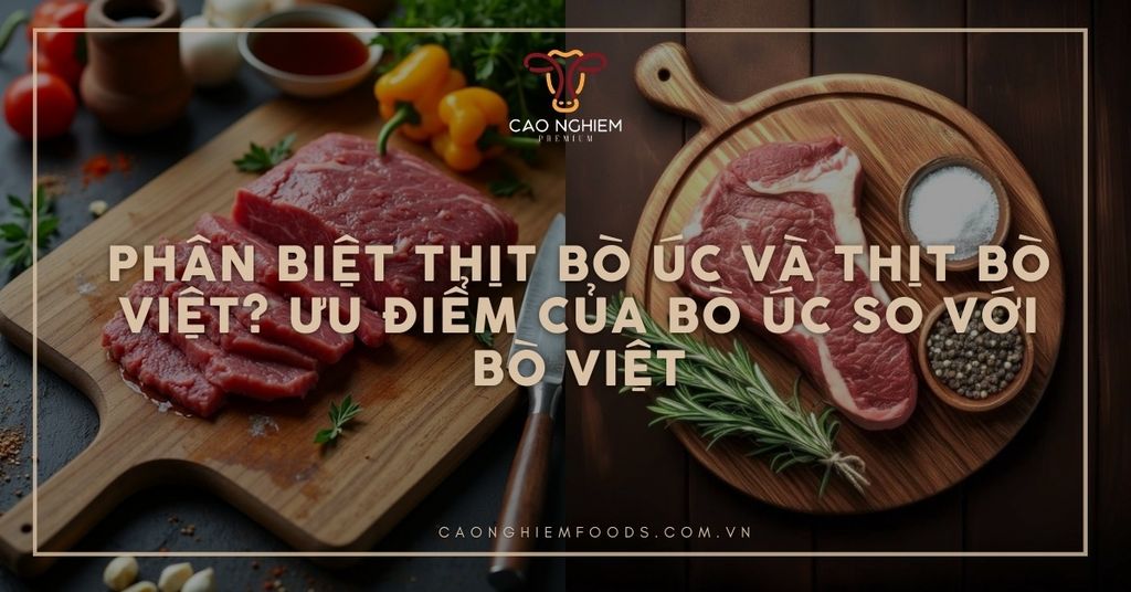 Phân biệt thịt bò úc và thịt bò Việt? Ưu điểm của bò Úc so với bò Việt