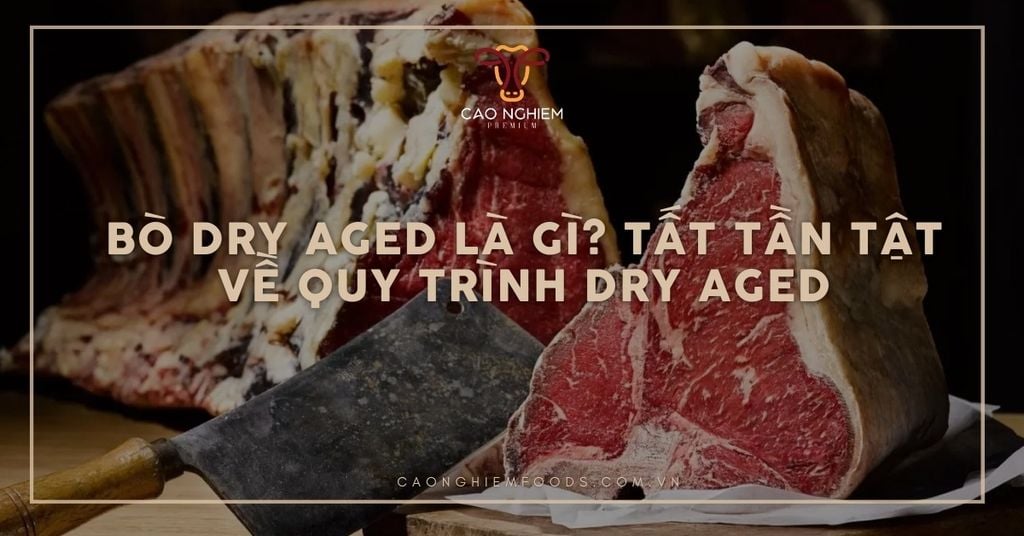 Bò dry aged là gì? Tất tần tật về quy trình dry aged