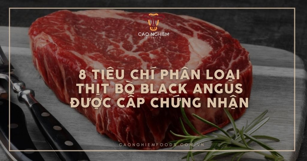 8 tiêu chí phân loại thịt bò Black Angus được cấp chứng nhận