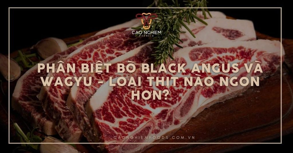 Phân biệt bò Black Angus và Wagyu - Loại thịt nào ngon hơn?