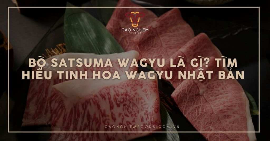 Bò Satsuma Wagyu là gì? Tìm hiểu tinh hoa Wagyu Nhật Bản