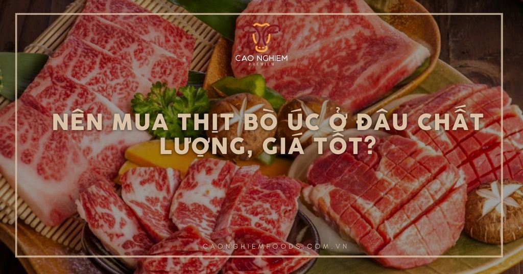 Nên mua thịt bò Úc ở đâu chất lượng, giá tốt?