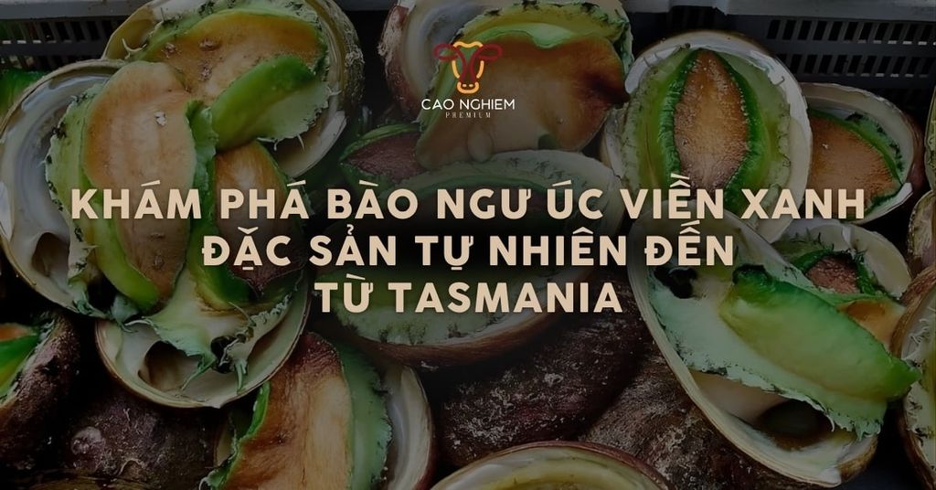 Khám phá về bào ngư Úc viền xanh – Đặc sản tự nhiên đến từ Tasmania