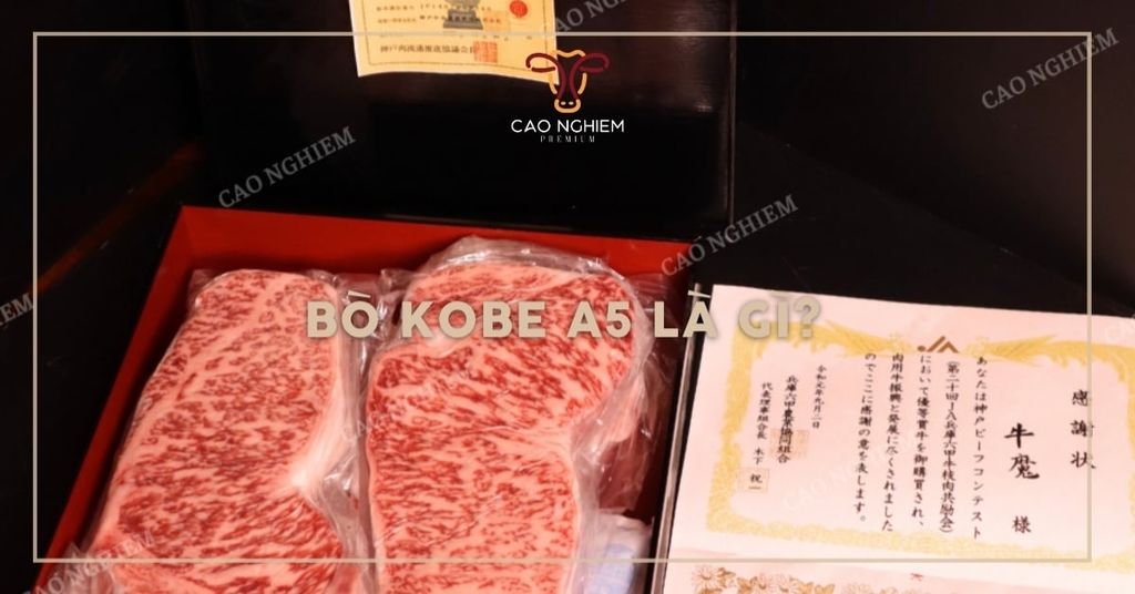 Bò Kobe A5 là gì? Tiêu chuẩn, đặc điểm và cách phân biệt