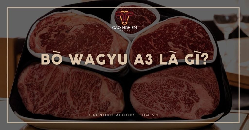 Bò Wagyu A3 là gì? Lựa chọn Wagyu tiêu chuẩn với giá hợp lý