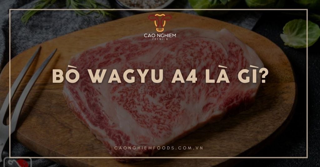 Bò Wagyu A4 là gì? So sánh chi tiết với bò Wagyu A5