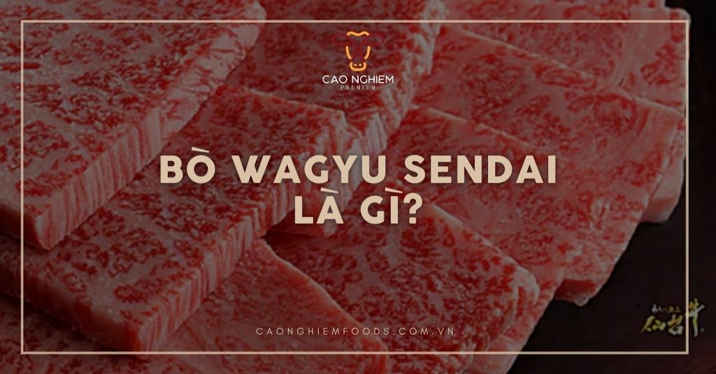 Bò Wagyu Sendai là gì? Thương hiệu Wagyu quý hiếm bậc nhất