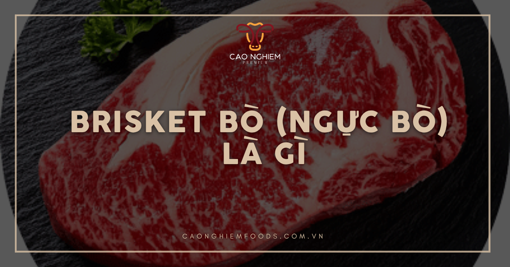 Brisket bò (ngực bò/gầu bò) là gì? Cách nhận biết và gợi ý món