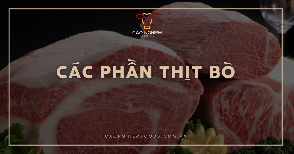 Khám phá về các phần thịt bò và cách lựa chọn phù hợp