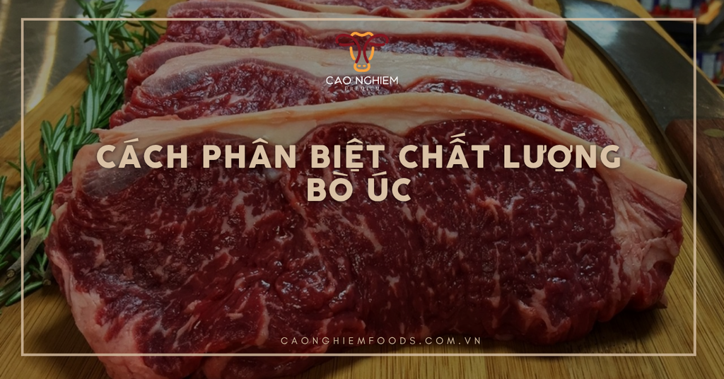 Cách phân biệt chất lượng bò Úc chuyên sâu, đạt chuẩn