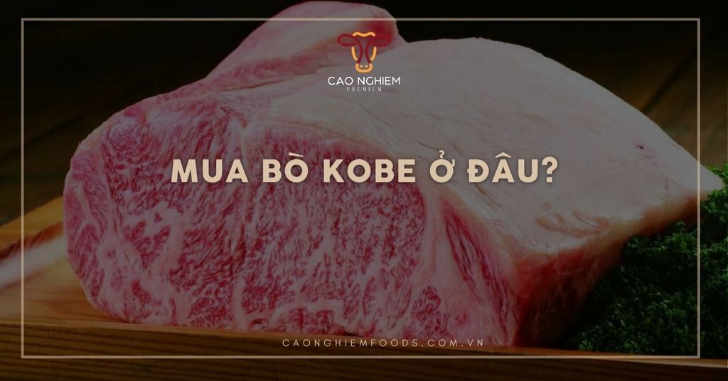 Mua bò Kobe ở đâu? Địa chỉ và hướng dẫn chọn bò Kobe chính hãng