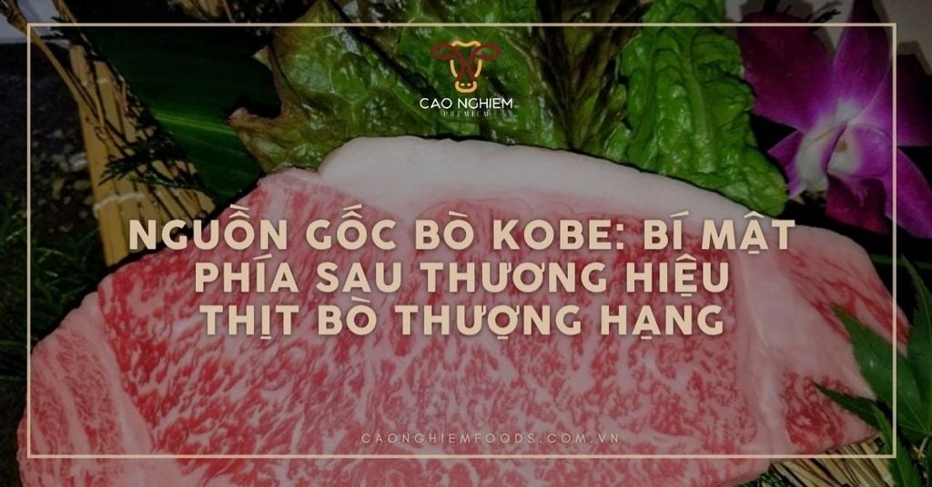 Nguồn gốc bò Kobe: Bí mật phía sau thương hiệu thịt bò thượng hạng