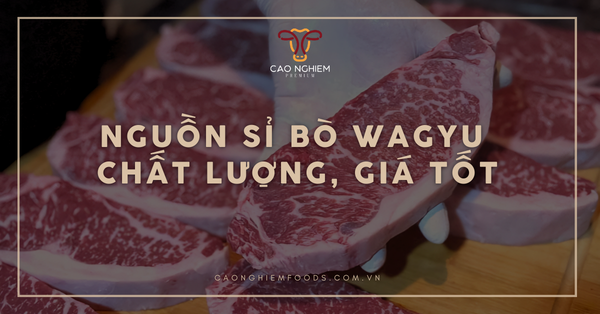Nguồn sỉ bò wagyu chất lượng, giá tốt
