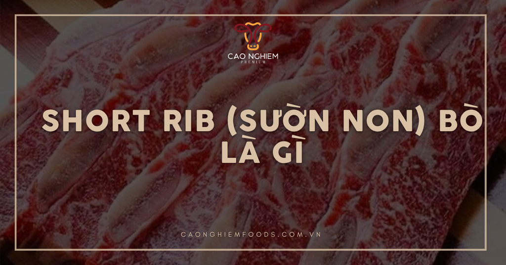 Sườn non bò (Short Rib) là gì? Cách nhận biết và chế biến