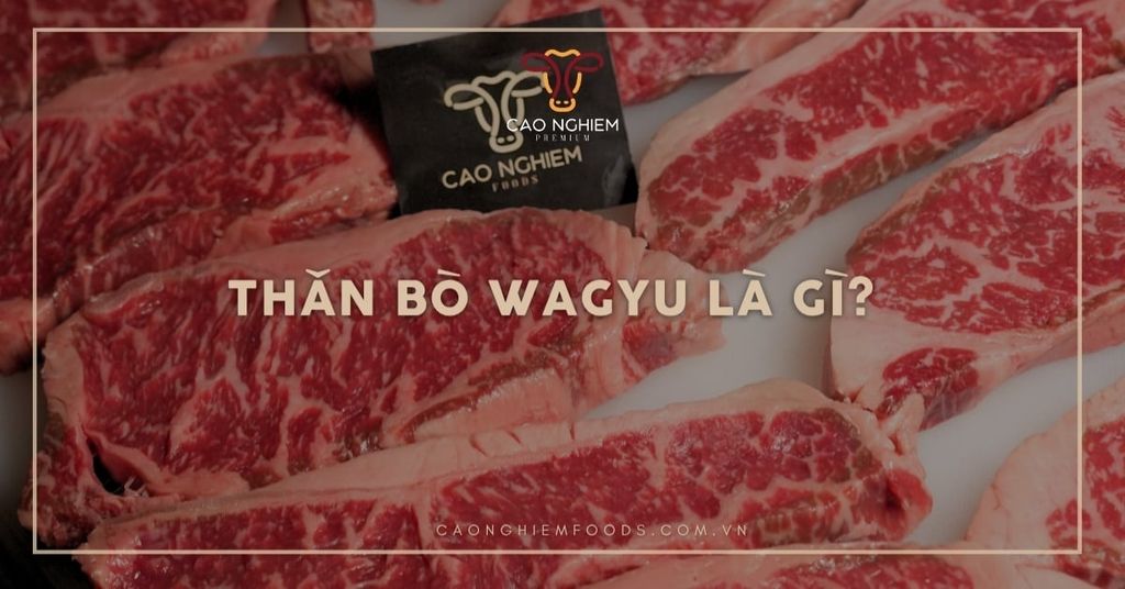 Thăn bò Wagyu là gì? Tìm hiểu các thăn cao cấp và cách chọn chuẩn