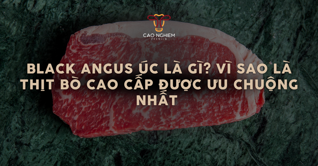 Black Angus Úc là gì? Vì sao là thịt bò cao cấp được ưu chuộng nhất