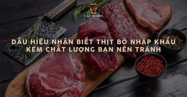 Dấu hiệu nhận biết thịt bò nhập khẩu kém chất lượng bạn nên tránh