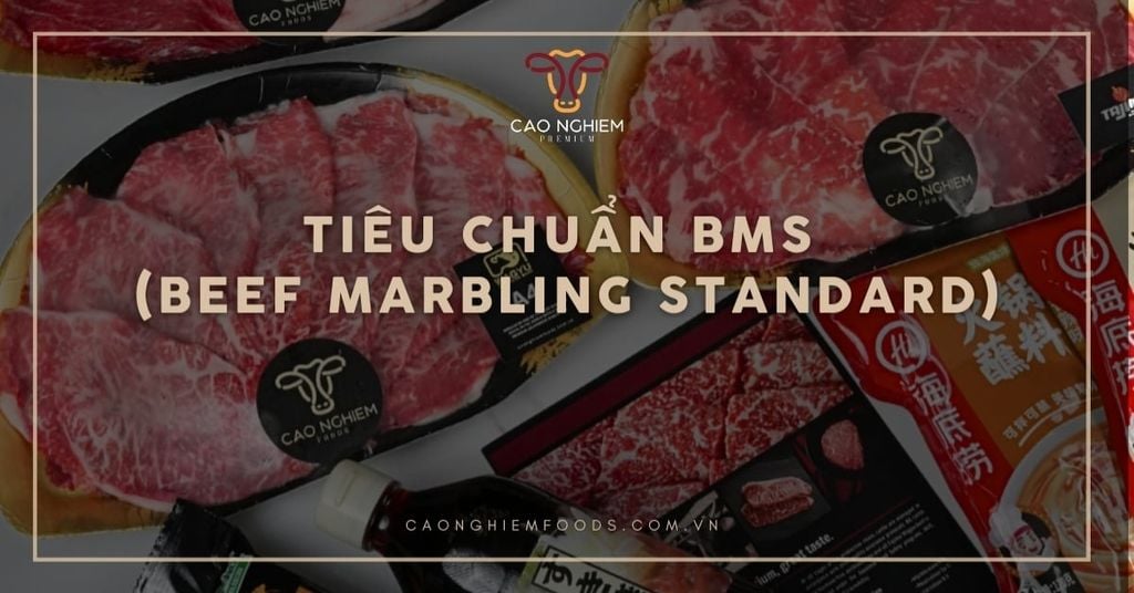 Tiêu chuẩn BMS là gì? Thang điểm đánh giá chất lượng bò Wagyu