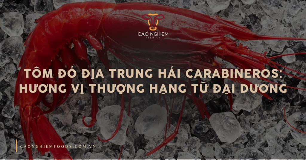 Tôm đỏ Địa Trung Hải là gì và có giá bao nhiêu?