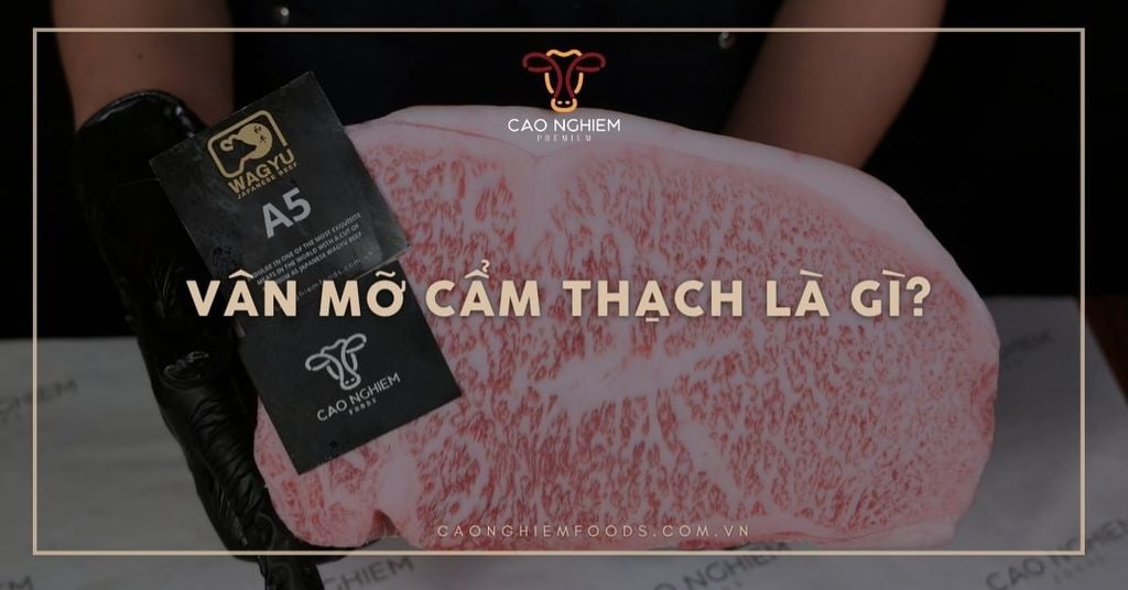 Vân mỡ cẩm thạch là gì? Giải mã “marbling” trên thịt bò cao cấp