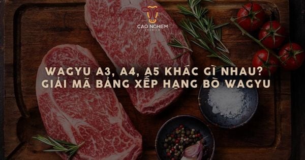 Wagyu A3, A4, A5 khác gì nhau? Giải mã bảng xếp hạng bò Wagyu