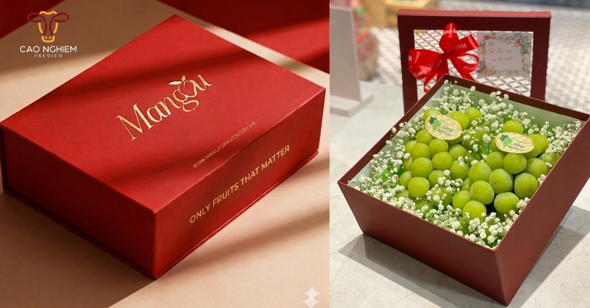 Set quà trái cây nhập khẩu Mangou Fruits theo yêu cầu thiết kế