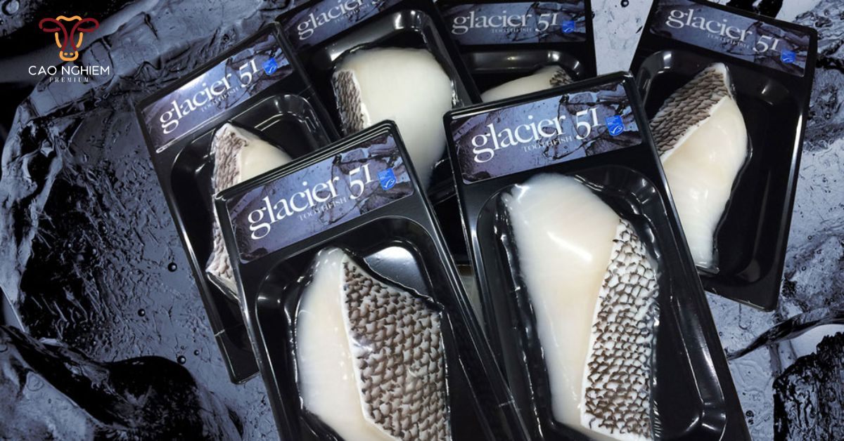Cá tuyết Úc Glacier 51 có phần thịt mềm mịn