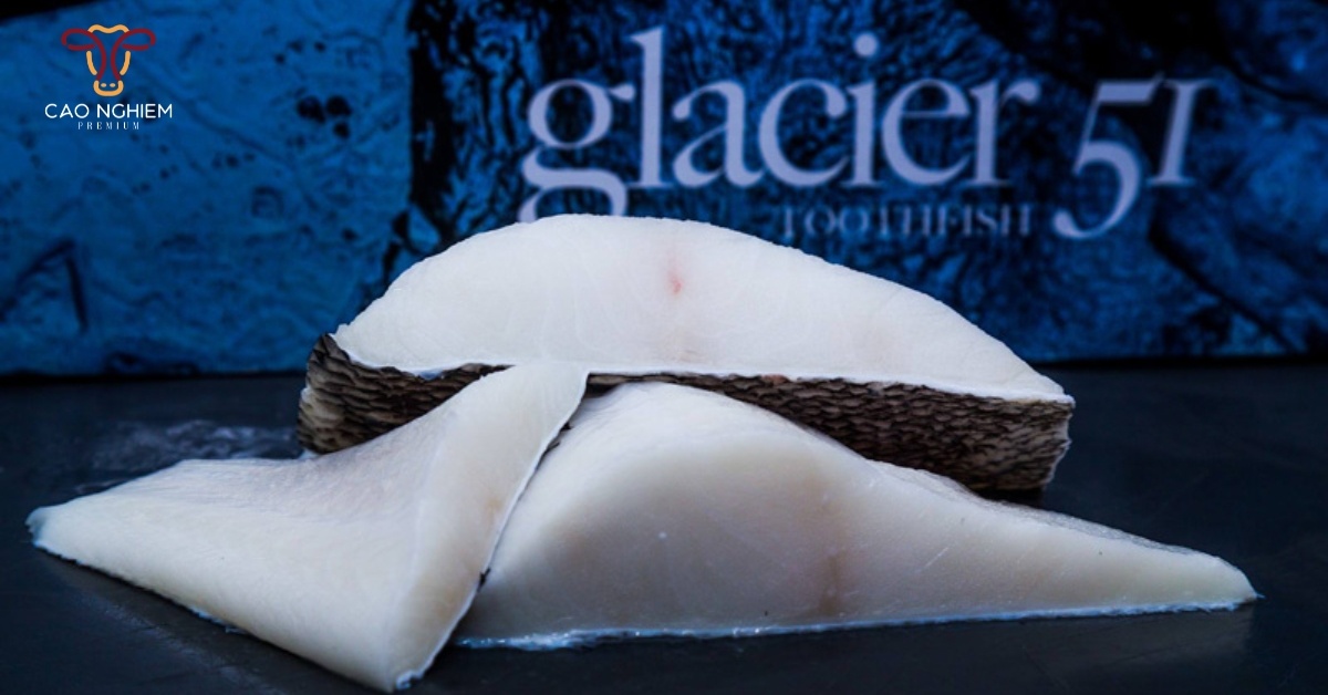 Cá tuyết Glacier 51 sống trong môi trường khắc nghiệt, nhiệt độ thấp và vị trí biệt lập