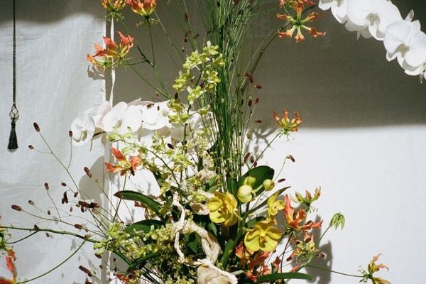 IT'S OUR 5TH BIRTHDAY