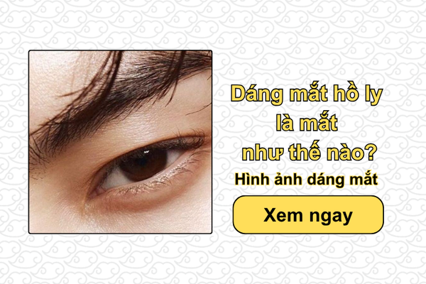 Dáng mắt hồ ly là mắt như thế nào? Hình ảnh dáng mắt