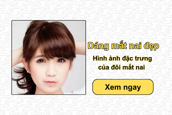 Dáng mắt nai đẹp: Hình ảnh đặc trưng của đôi mắt nai