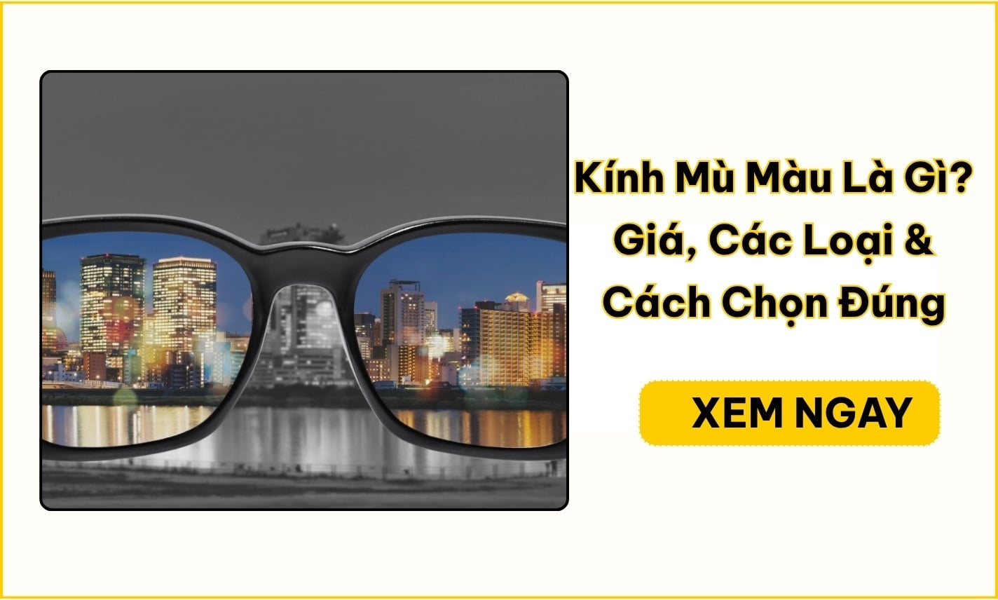 Kính Cho Người Mù Màu Là Gì? Giá & Cách Chọn Đúng