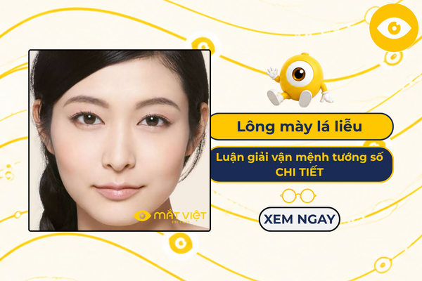 Lông mày lá liễu là gì? Luận giải vận mệnh tướng số CHI TIẾT