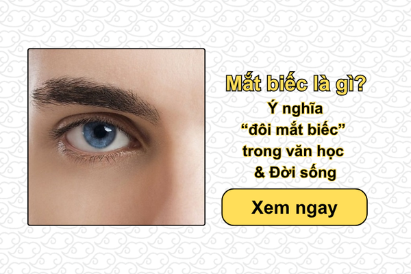 Mắt biếc là gì? Ý nghĩa ‘đôi mắt biếc’ trong văn học & Đời sống