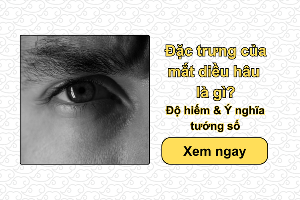 Đặc trưng của mắt diều hâu là gì? Độ hiếm & Góc nhìn tướng số