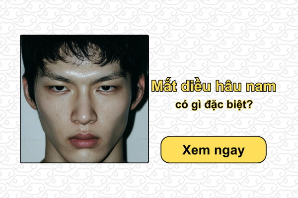 Mắt diều hâu nam có gì đặc biệt trong thẩm mỹ và tướng số?