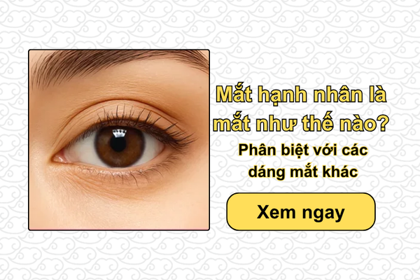 Mắt hạnh nhân là mắt như thế nào? Phân biệt với các dáng mắt khác