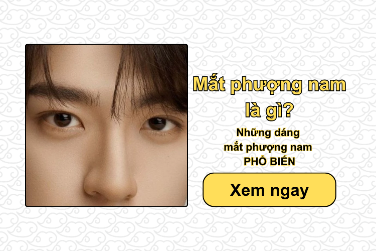 Mắt phượng nam là gì? Những dáng mắt phượng nam phổ biến