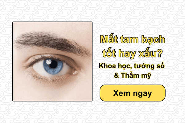 Mắt tam bạch tốt hay xấu? Khoa học, tướng số & Thẩm mỹ