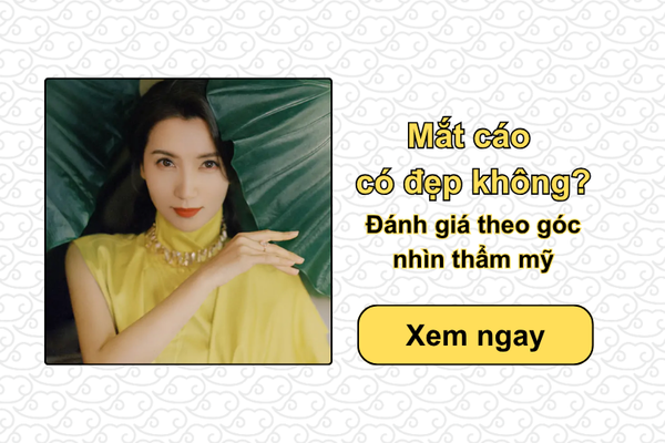 Mắt cáo có đẹp không? Đánh giá theo góc nhìn thẩm mỹ